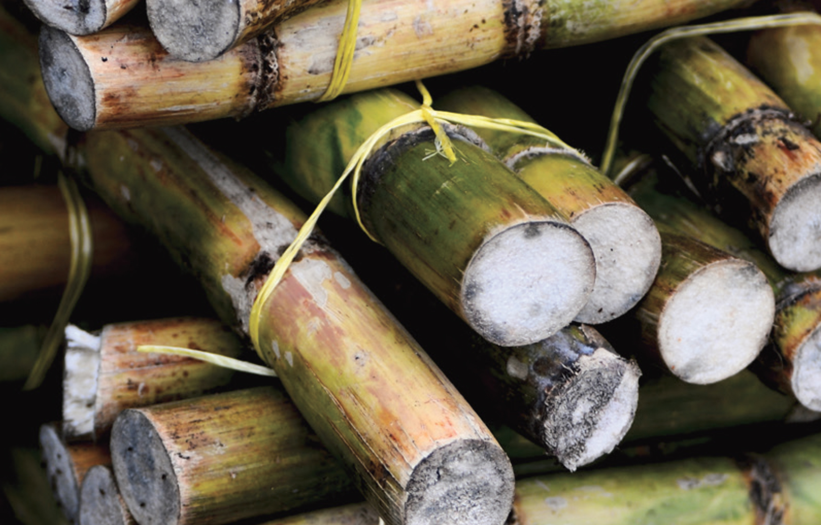 UCL sugar manufacturing