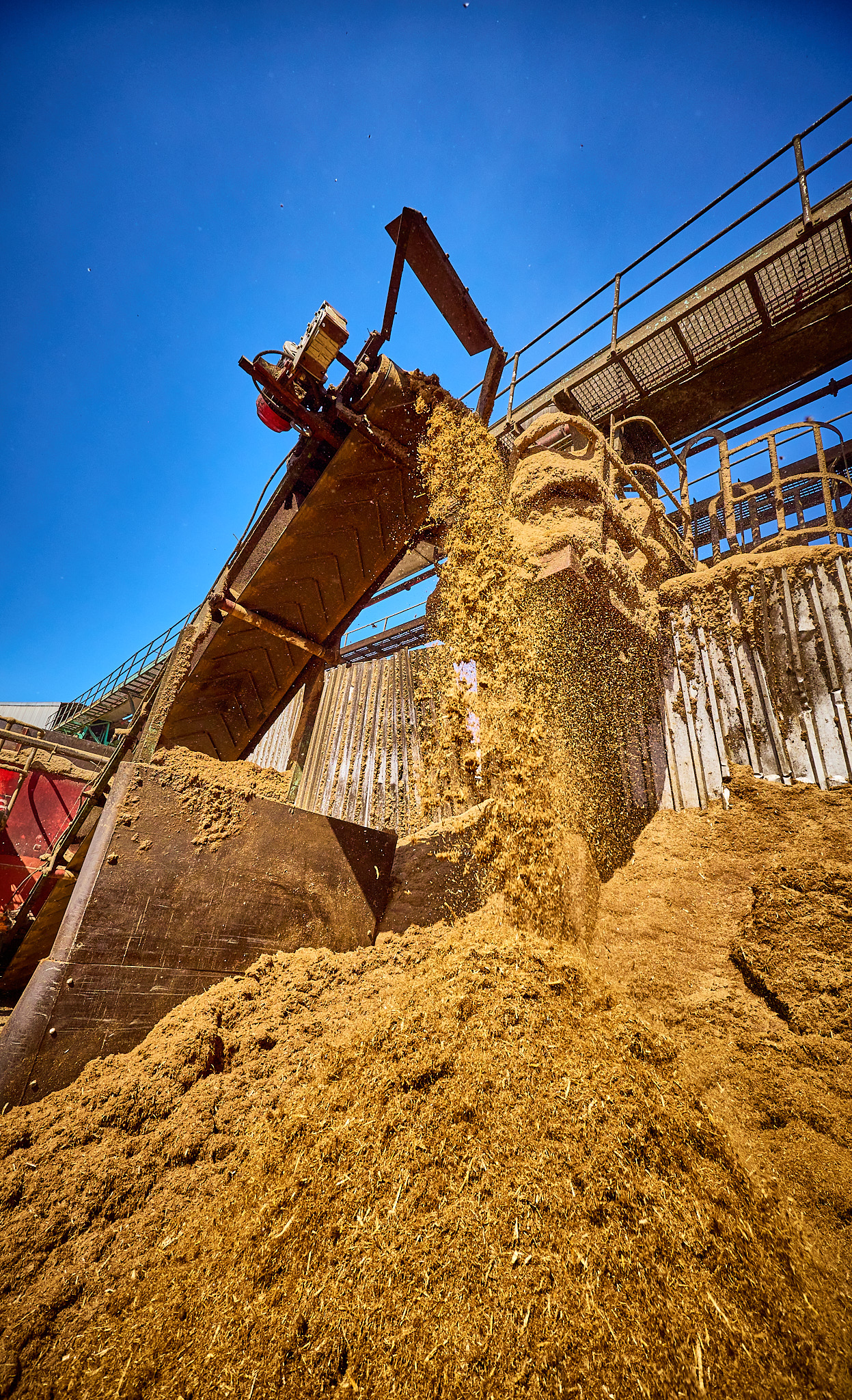 UCL animal feed made from sugarcane bagasse and molasses