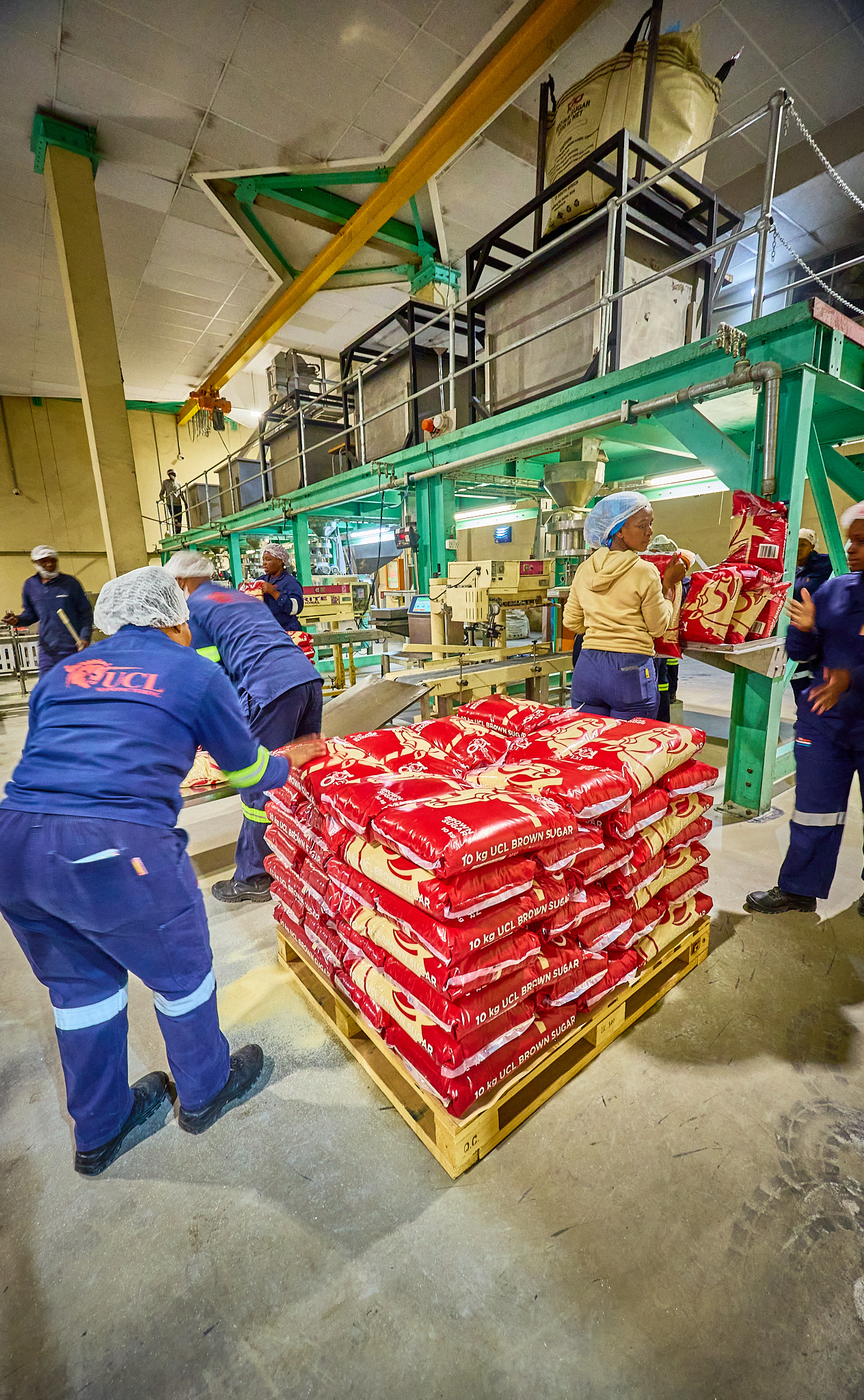 UCL sugar retail packs being packed at the factory