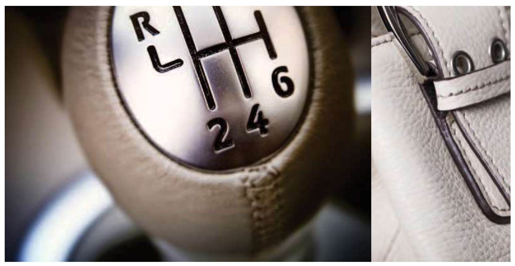 Pale leather gear knob and light-coloured leather bag detail
